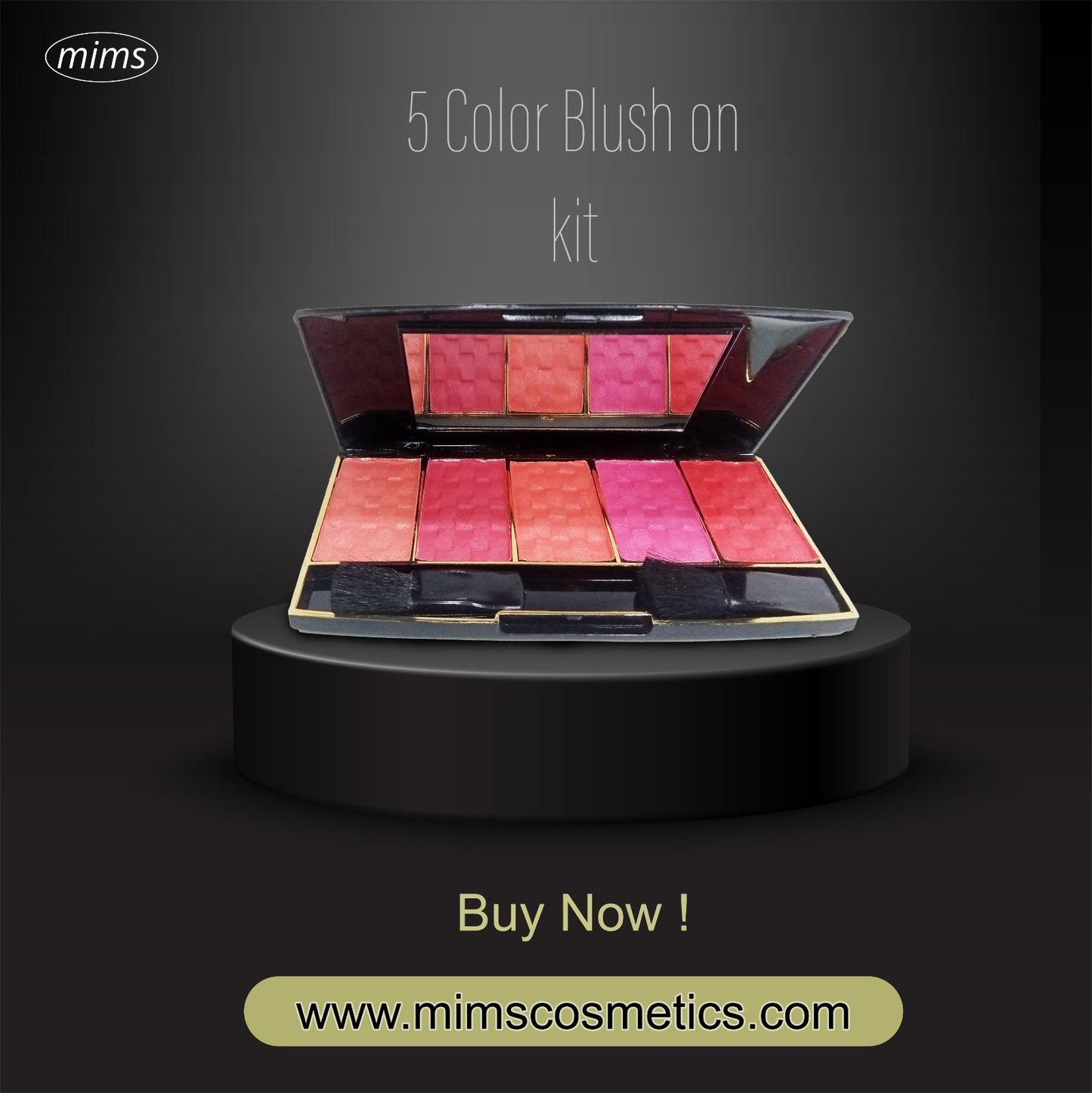 Mims 5 Color Blush on Palette